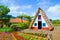 Old traditional houses in Santana, Madeira Island, Portugal. Wooden, small, triangular and colorful houses represent a part of