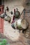 Old traditional indian drums