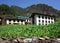 Old traditional nepali houses and corn field in Junbesi sherpa village