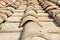 Old traditional tuscany terracotta roof covering Tuscany - Italy