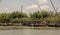 Old traditional wooden boats. Latin sailing ships, in Albufera Valencia