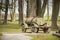 Old trailer, water tank for animals before trees