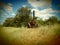 Old train standing with cloud in the sky