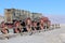 Old train and wagons Death Valley