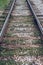 Old tram rails, close-up, summer autumn, between sleepers grass, gravel and stones in the city.