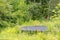 Old trampoline in an overgrown field