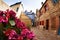 Old tranquil street of Honfleur with brick houses