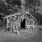 An old trappers cabin is decorated with driftwood at Wells Gray Park in BC, Canada