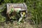 Old treasure chest sitting on ground in tall weeds with jewels spilling out and a mermaid ornament leaning against it