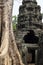 Old tree in ancient temple of Angkor Wat, Cambodia. Ancient temple stone ruin in Siem Reap. Angkor Wat detail.