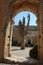 Old tree through an archway