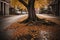 Old Tree With Broken Branches In Autumn On A Street With Some Water On The Ground