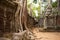 Old tree growing on the stone wall at the Cambodian temple Ta Prom