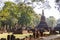 Old Tree and Laterite Stupa at Wat Pra Khaeo Kamphaeng Phet Province, Thailand