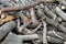 Old tree trunks stacked in a pile close-up, clearing the forest from old trees