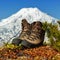 Old trekking boots stand in tundra against background of beautiful cone of volcano