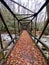 Old Trestle Bridge Crosses River in the Smokies