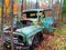 Old Truck in Autumn Forest