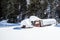 Old truck buried in the deep snow