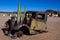 Old Truck with cactus