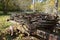 An old truck frame and chassis loaded with a rotting snow fence in a wooded thicket