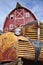 Old truck and red barn.