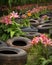 Old truck tires once used a military transport now planted with lilies Abandoned landscape. AI generation