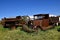 Old trucks in a junkyard