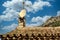 Old TV Antenna and Modern Dish on Tile Roof