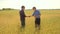 Old two farmers explore are studying handshake . man Wheat Field summer in the field wheat bread. slow motion video