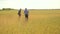 Old two farmers explore are studying. man Wheat Field summer in the field wheat bread. slow motion video. farmer Smart