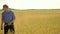 Old two farmers explore are studying. man Wheat Field summer in the field wheat bread. slow motion video. farmer Smart