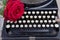 Old typewriter with a red rose