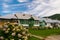 Old typical romanian houses facade with painted wood doors and windows, green grass and flowers