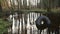 Old tyre and other garbage lies on the waterlogged river bank, environmental pollution.