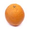 Old ugly orange fruit