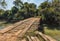 Old unsafe wooden bridge without railing in the wilderness of Paraguay.