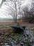 Old upside down wheelbarrow with ground and forest in background