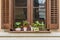 Old urban window with plants