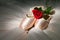 Old used ballet slippers lying on floor with rose and tutu