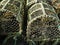 Old used fish and crab traps,