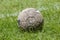 Old used football or soccer ball on field.