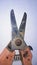 Old used Gardening shears