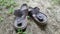 Old used sandals. Pair of old footwear on grass