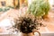 Old vase with dried flowers in a window on a nostalgic autumn rainy day, film grain added