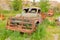 Old vehicles left to rust at an outdoor museum in yellowknife