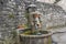 Old village well in France, Europe