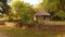 Old village wooden log house and wicker hedge.