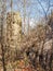 Old Vine Covered Chimney at Cascades Preserve