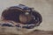 Old vintage ball in leather mitt, grunge baseball equipment image. Great for sports team or hardball player graphic.